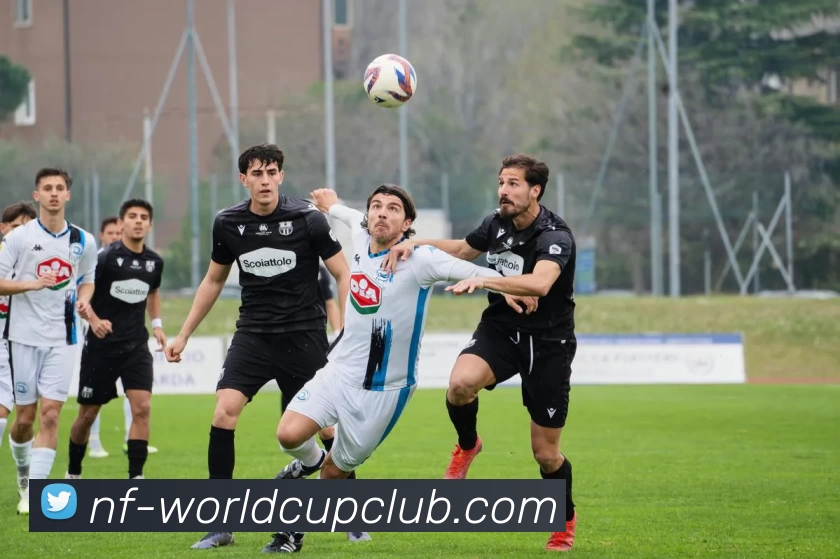 世俱杯体育投注服务体系